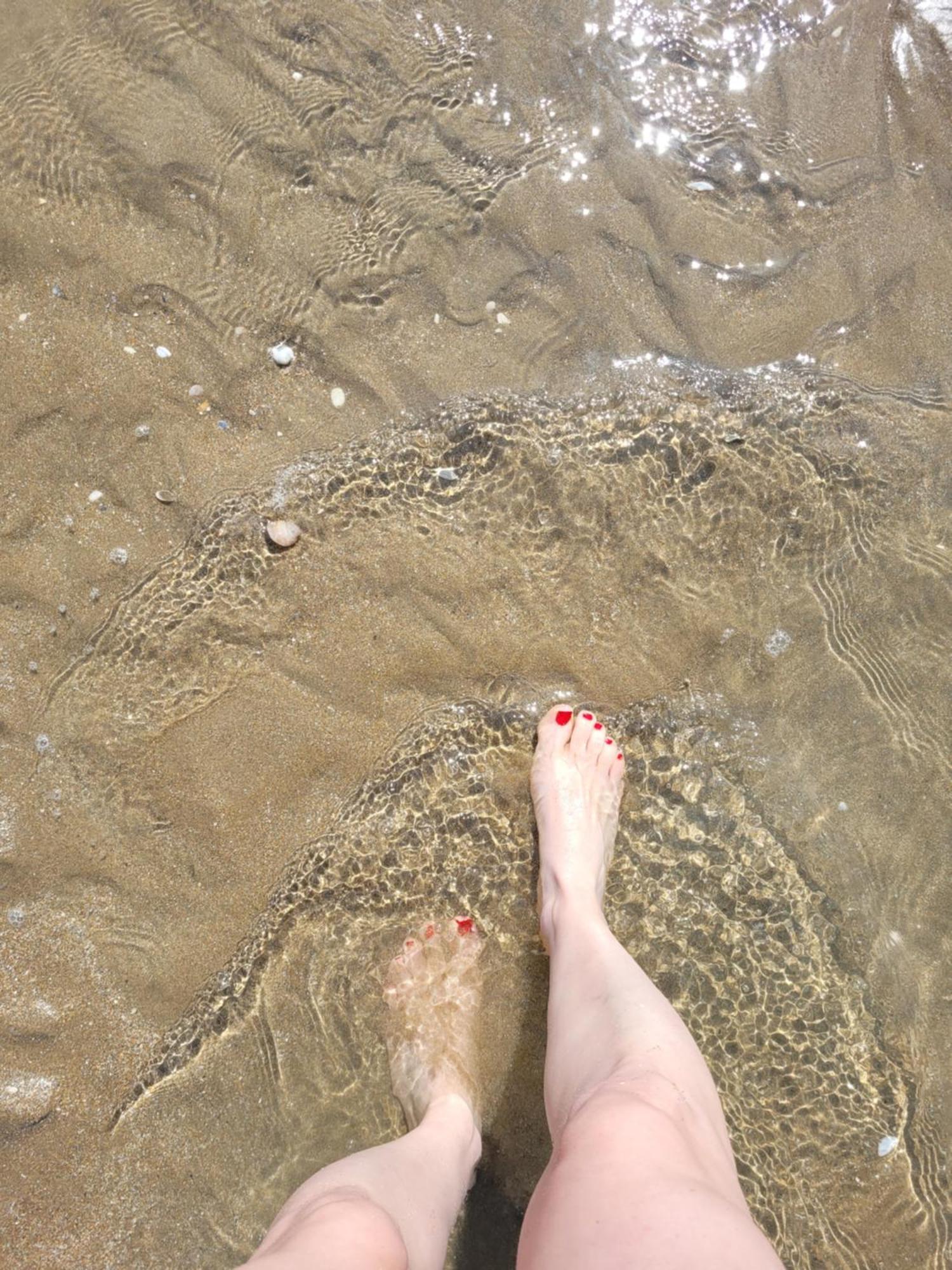 M2M Studio Magnifique Vue Mer - Avec Balcon - Les Pieds Dans L Eau! 布伦维尔索梅 外观 照片